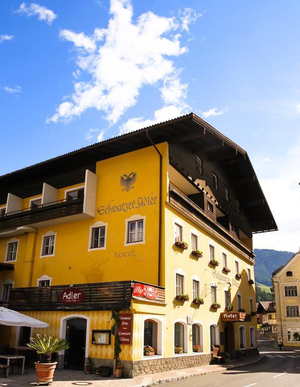 Schwarzer Adler